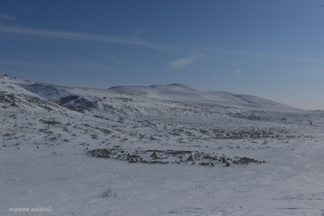 Yamal (Ямал)